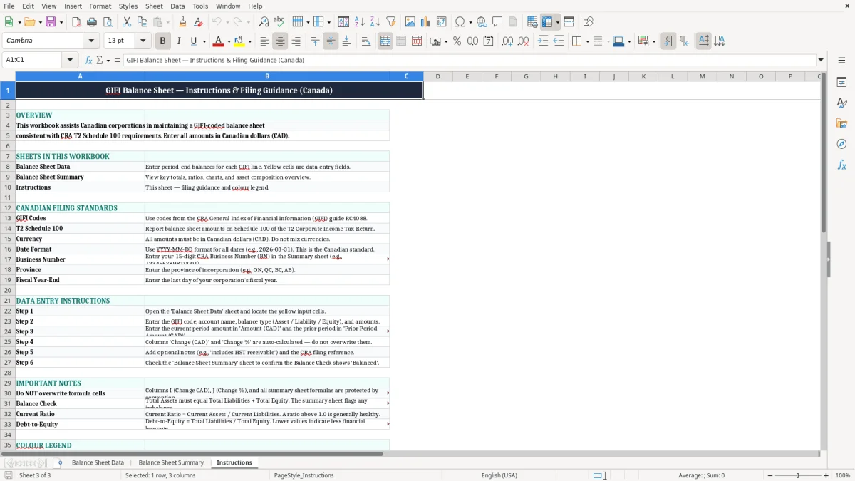 Screenshot 3: Instructions tab - Excel template gifi balance sheet excel spreadsheet canada